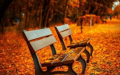 How is Care Moving to a New Level?